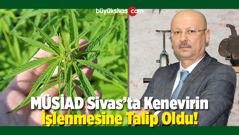 MÜSİAD Kenevirin İşlenmesine Talip Oldu!