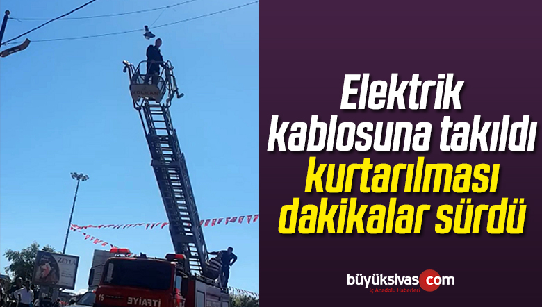 Elektrik Kablosuna Takılan Güvercini İtfaiye Ekipleri Kurtardı