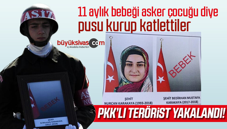 Terörist Yakalandı