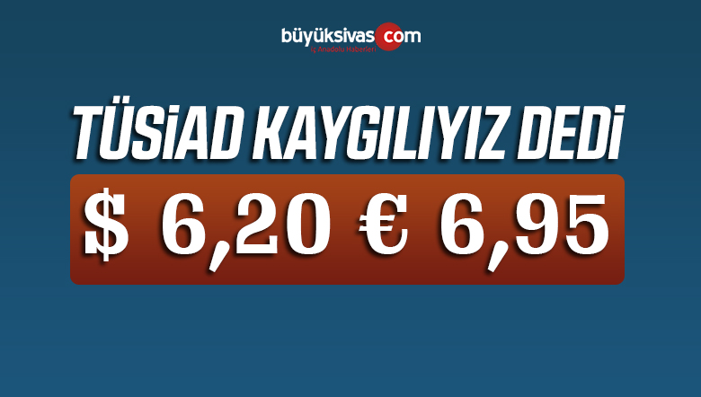 TÜSİAD YSK Kararının ‘Kaygı Verici’ Olduğunu Belirtti