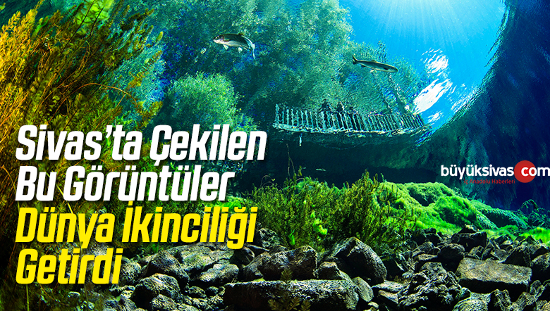 Dünya ikinciliği