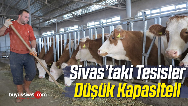 Tarım ve Orman İl Müdürlüğü Faaliyet Raporunu Yayımladı