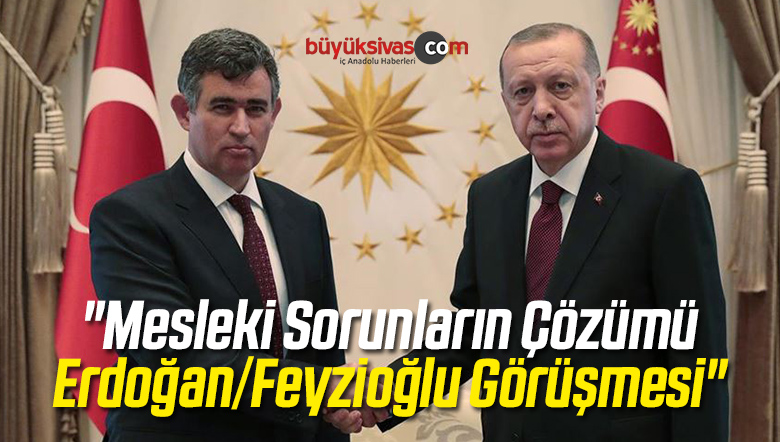 Erdoğan/Feyzioğlu