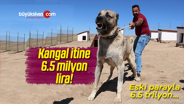 6.5 Milyon