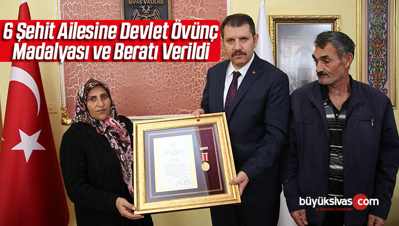 Devlet Övünç Madalyası
