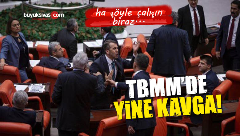 milletvekili kavgası