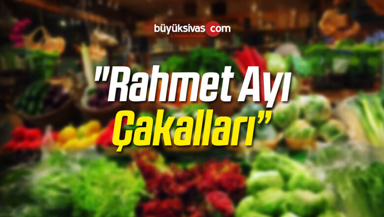 “Rahmet Ayı Çakalları”