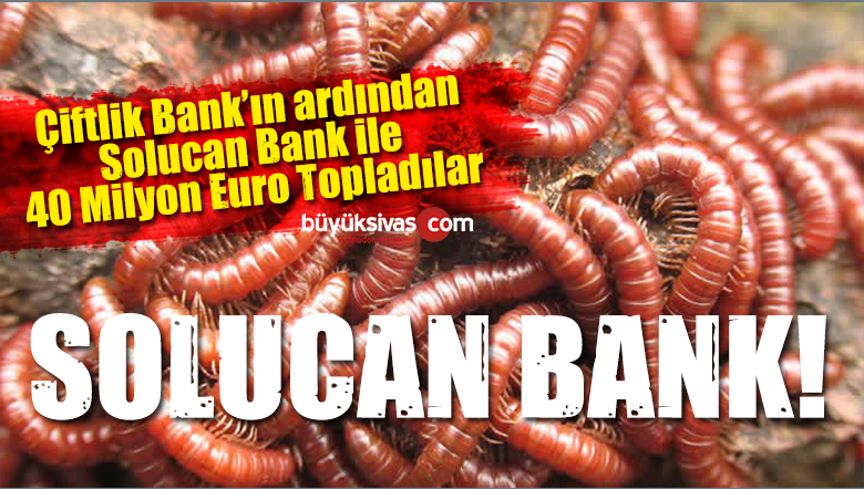 solucan bank