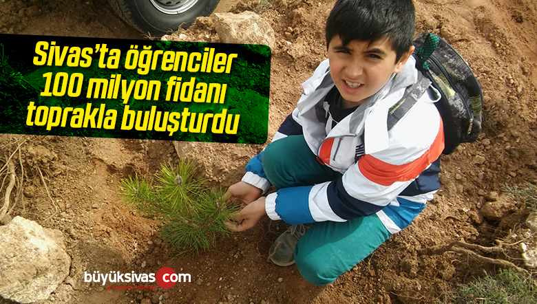 Fidan Dikimi