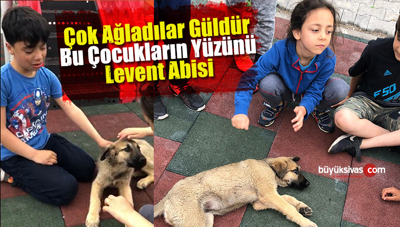 Köpeklerin Saldırdığı Yavru Köpeğin Başında Saatlerdir Ağlıyorlar