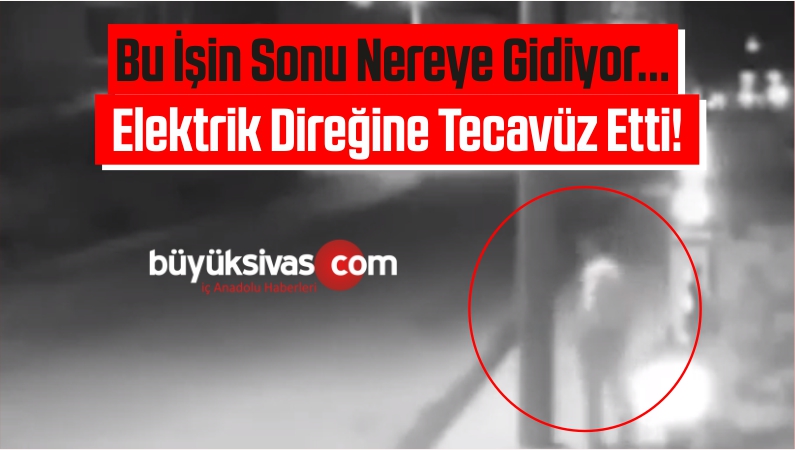 Bu İşin Sonu Nereye