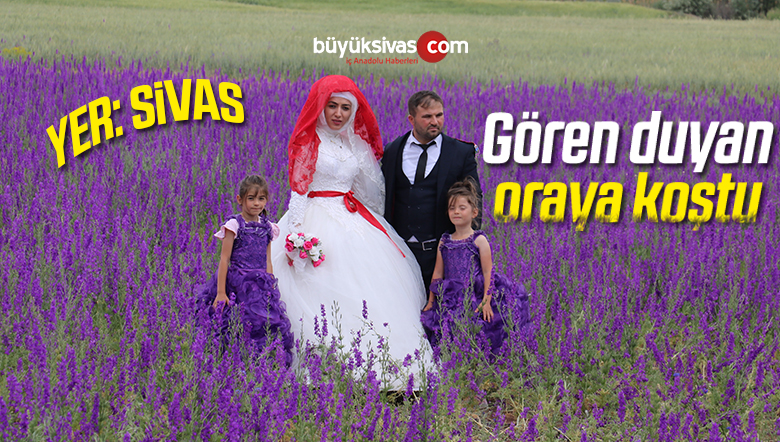 Mor Çiçek Tarlası