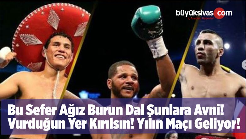 WBC Kemerin En Güçlü Adayı Hemşehrimiz Avni Yıldırım Resti Çekecek