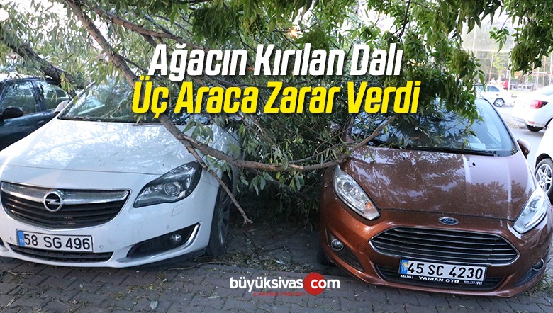 Ağacın Kırılan Dalı Üç Araca Zarar Verdi