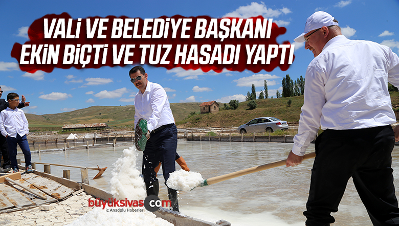 “Buzağı Güzellik Yarışması”nda Renkli Görüntüler Yaşandı