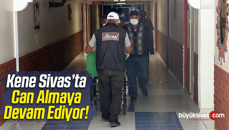 Kene Sivas’ta Bir Can Daha Aldı