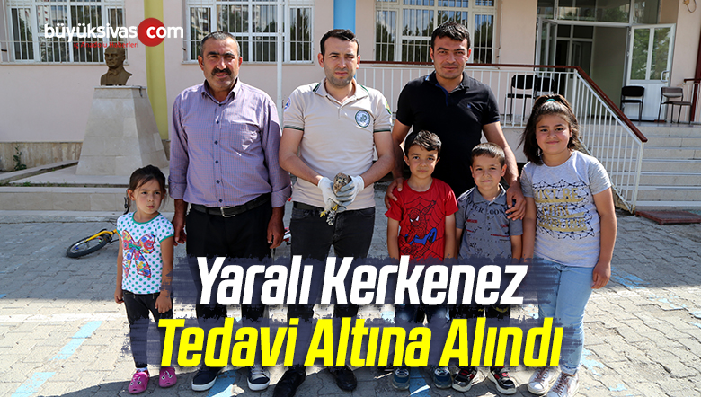 Yaralı Halde Bulunan Kerkenez Tedavi Altına Alındı