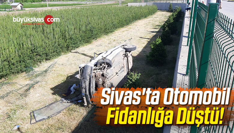 Fidanlığa Düştü