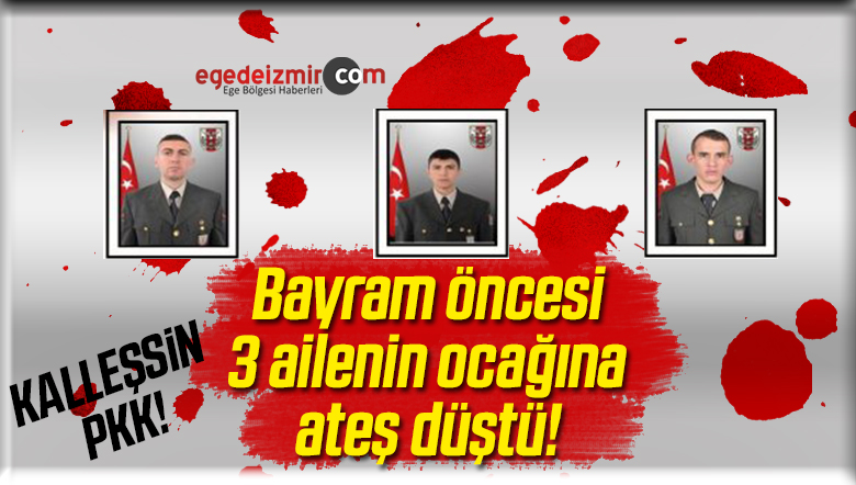 3 Asker Şehit