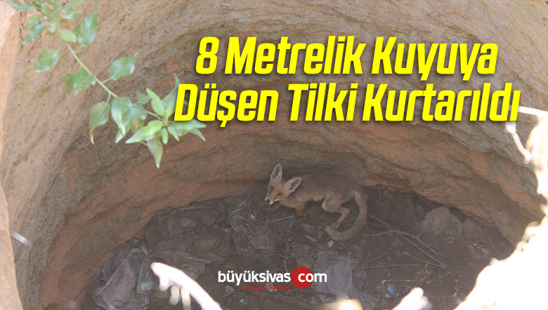 8 Metrelik Kuyuya Düşen Tilki Kurtarıldı