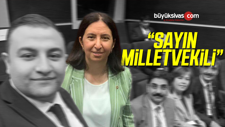 Sayın Milletvekili