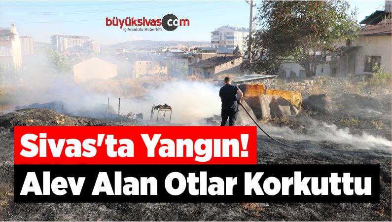 Sivas'ta Yangın! Alev Alan