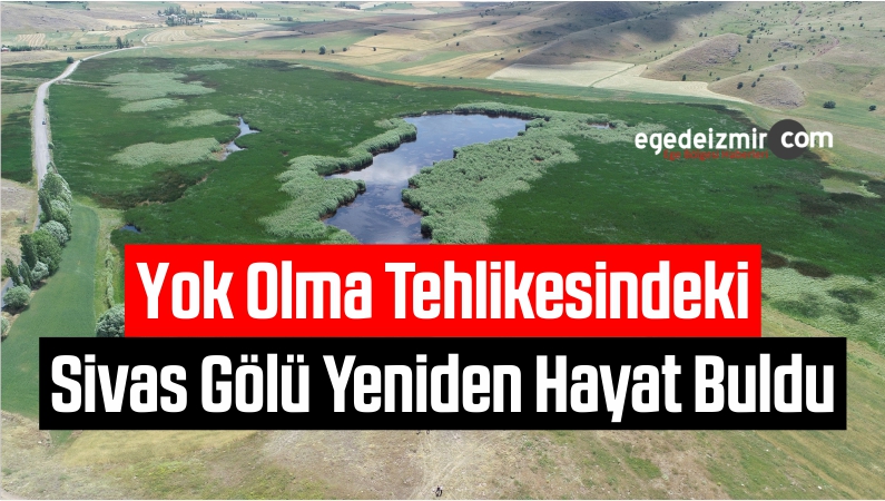 Yok Olma Tehlikesindeki Kaz Gölü Yeniden Hayat Buldu