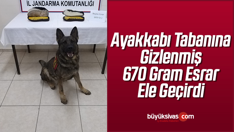 Ayakkabı Tabanına
