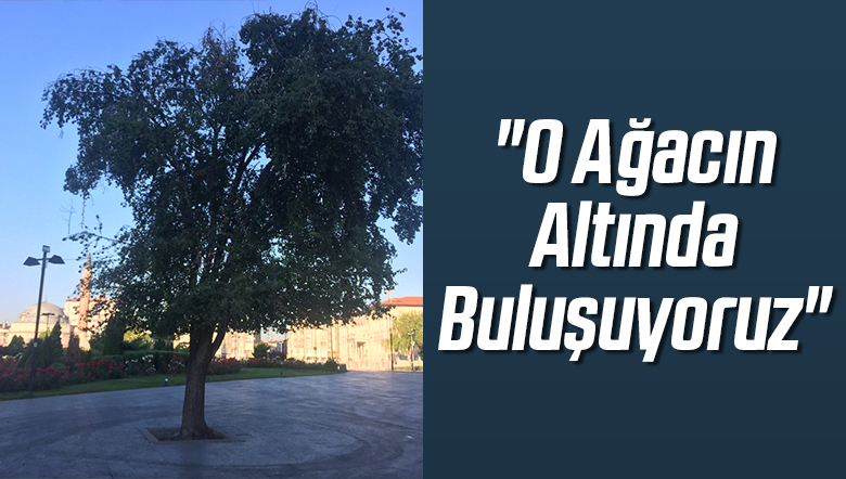 “O Ağacın Altında Buluşuyoruz”