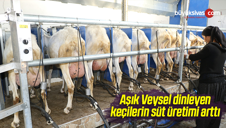 Aşık Veysel Türküleri