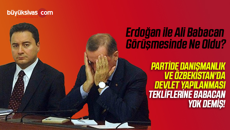 erdoğan ali babacan