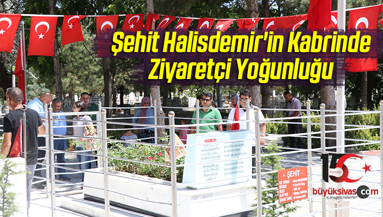 Halisdemir'in