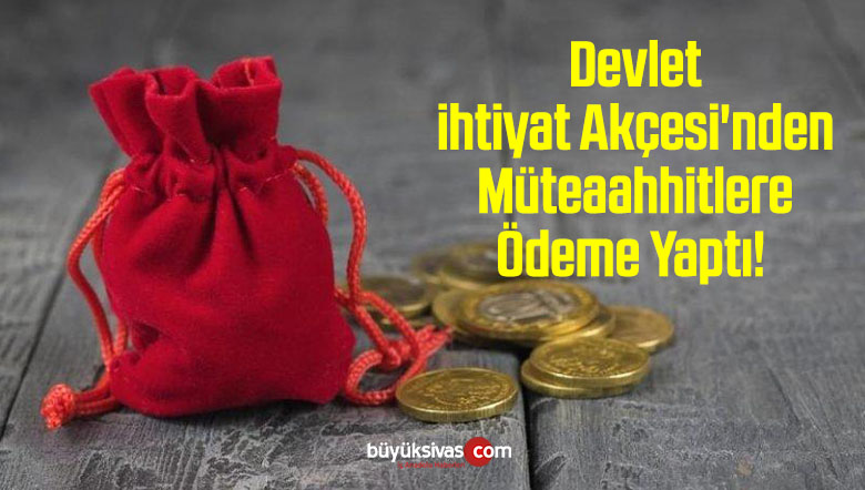 Devlet ihtiyat Akçesi ‘nden Müteaahhitlere Ödeme Yaptı!