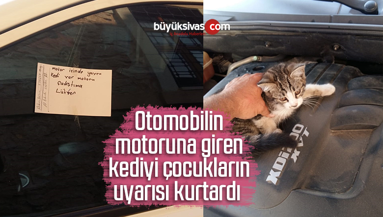 Otomobilin Motoruna Giren Kediyi Çocukların Uyarısı Kurtardı