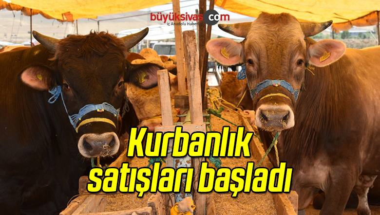 Kurbanlık Satışları