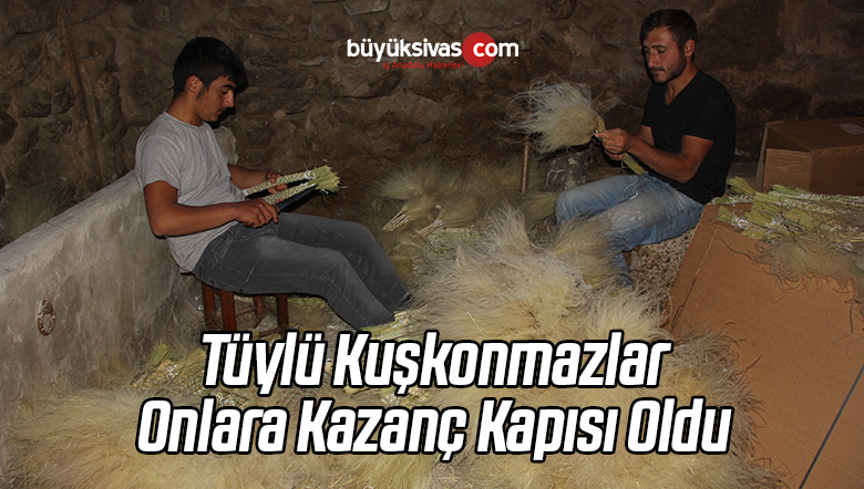 Tüylü Kuşkonmazlar İlçe Sakinlerine Kazanç Kapısı Oldu
