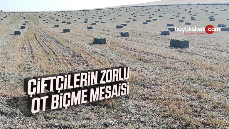 Çiftçilerin Zorlu Ot Biçme Mesaisi