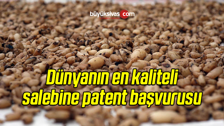 Dünyanın En Kaliteli Salebine Patent Başvurusu