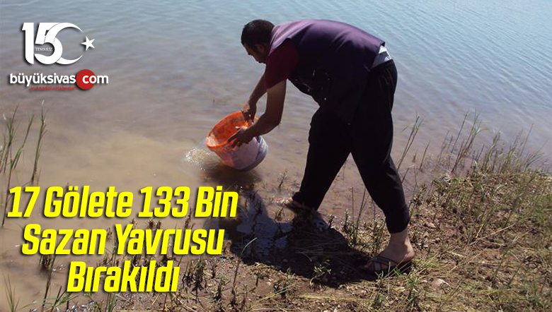 Kırşehir’de 17 Gölete 133 Bin Sazan Yavrusu Bırakıldı