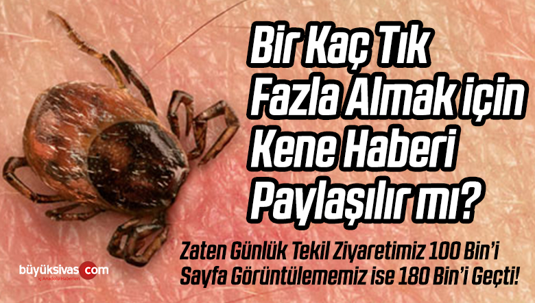 Bazı Yöneticilerce Kene Haberlerini Bir Kaç Tık Fazla Almak için Yaptığımız Söylendi