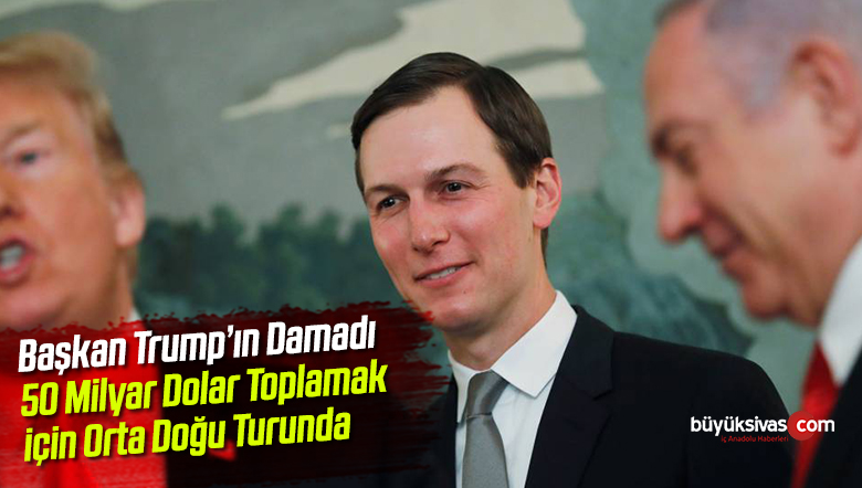 trumpın damadı