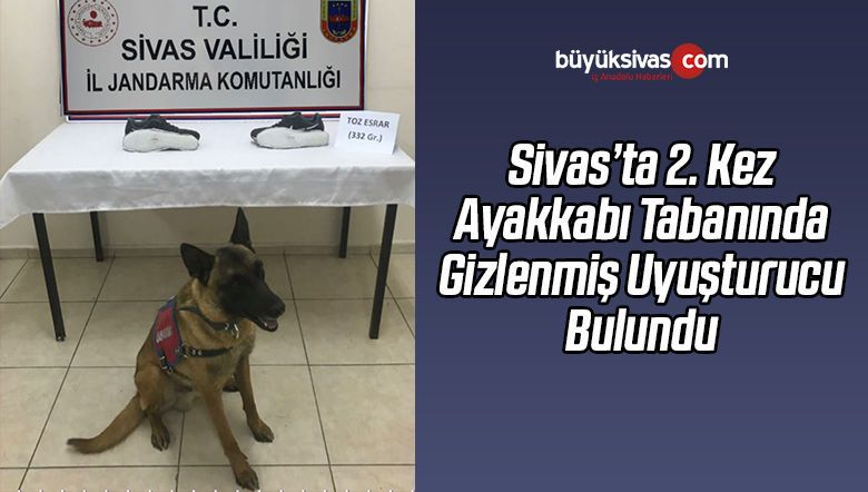 Gizlenmiş Uyuşturucu