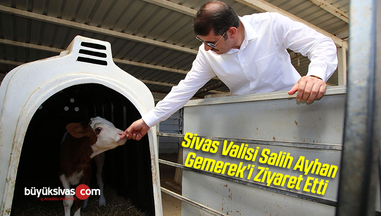 Sivas Valisi Salih Ayhan Gemerek İlçesi Ziyaret Etti