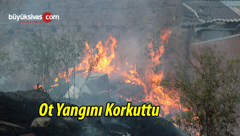 Ot Yangını Korkuttu