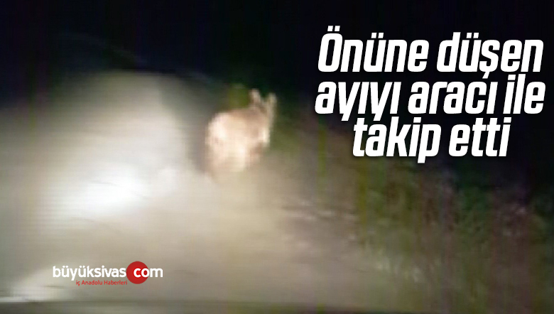 Önüne Düşen Ayıyı Aracı ile Takip Etti