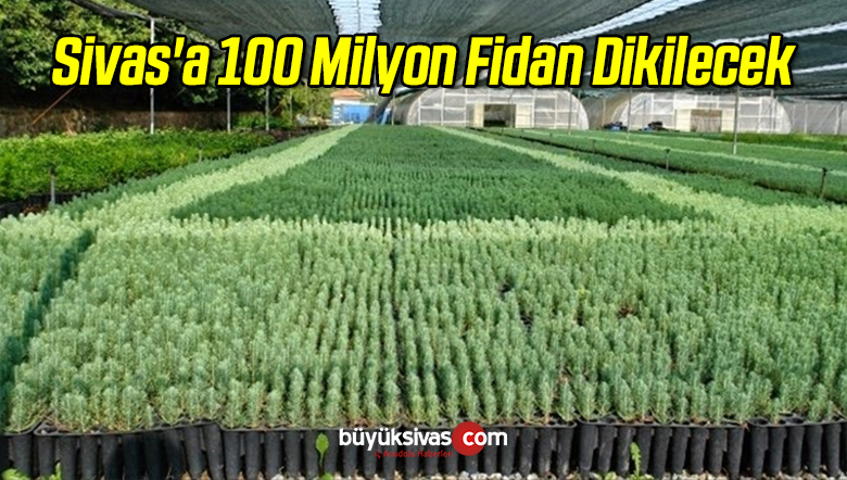 Sivas’a 100 Milyon Fidan Dikilecek