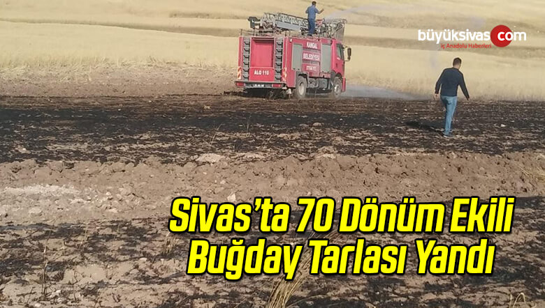 70 Dönüm Ekili