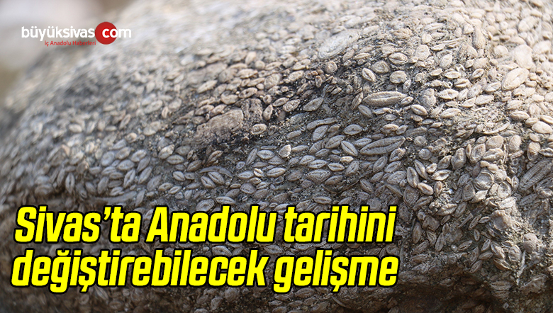 Sivas’ta Anadolu Tarihini Değiştirebilecek Gelişme