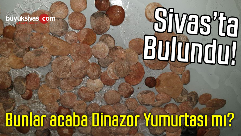 dinazor