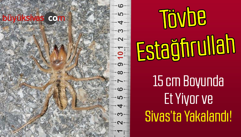 et yiyor